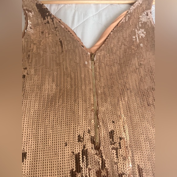 Beautiful Rose Gold Sequins Dress - Picture 3 of 7